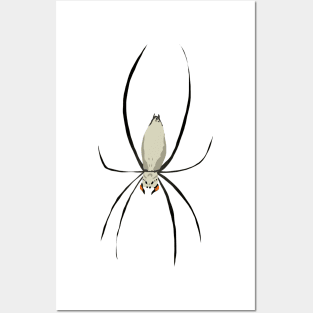 white spider Posters and Art